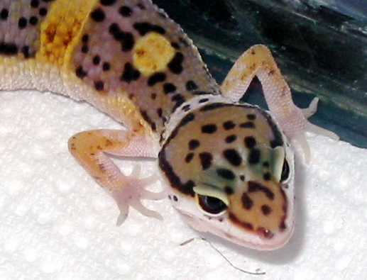 my sweetie..