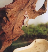 hangin around