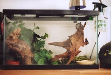TerrariumSetup
