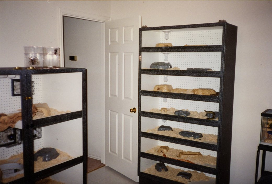 7 high cage & boa/python cage