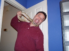 bullsnake revenge