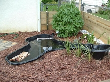 Summer Enclosure