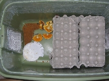 Second continer with egg crate on top