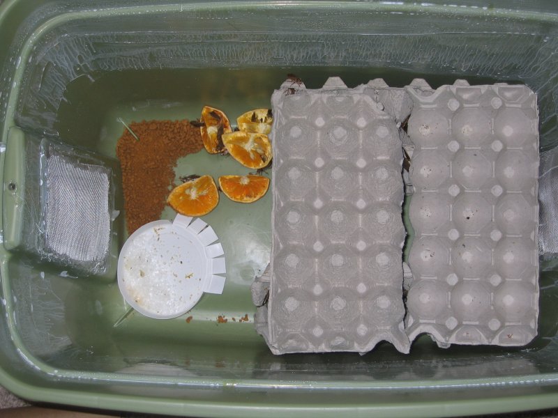 Second continer with egg crate on top