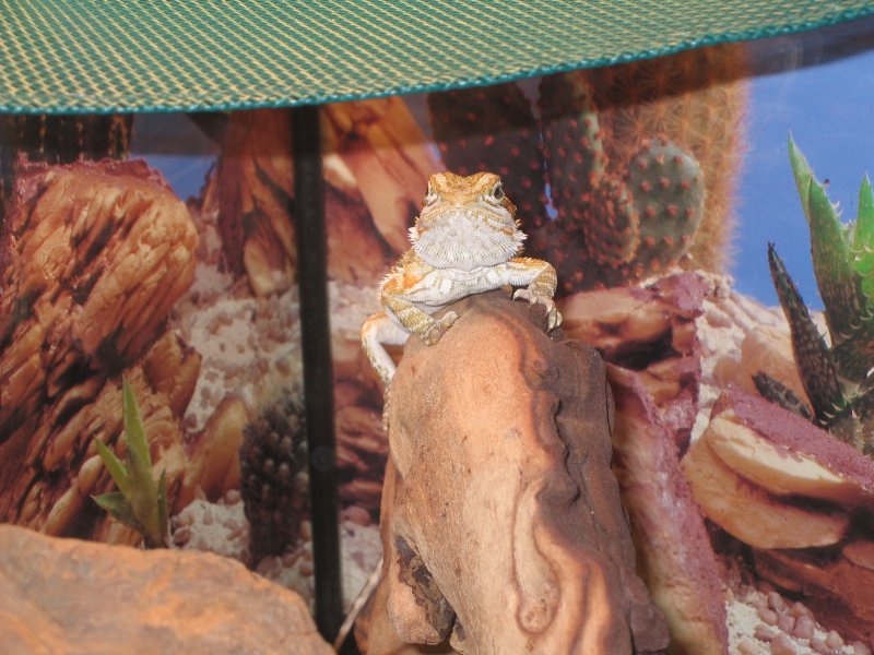 Scuttlebutt
