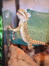 Scuttlebutt smiling fot the camera