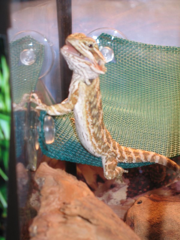 Scuttlebutt smiling fot the camera