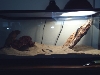 Tank1