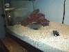 Tank2