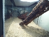 Tank3