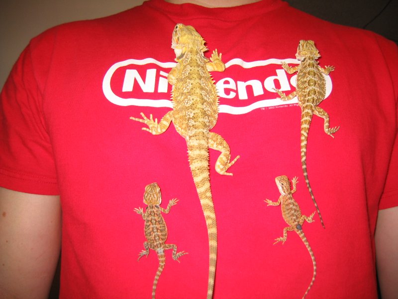 The Fam