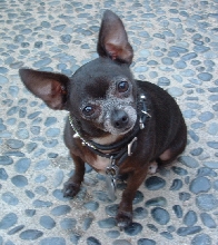 Ruben