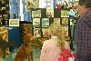 Breeds2