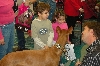 Breeds4