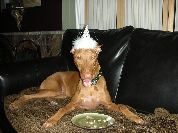 Phorestbday1