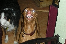 smile