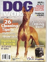 dwcover