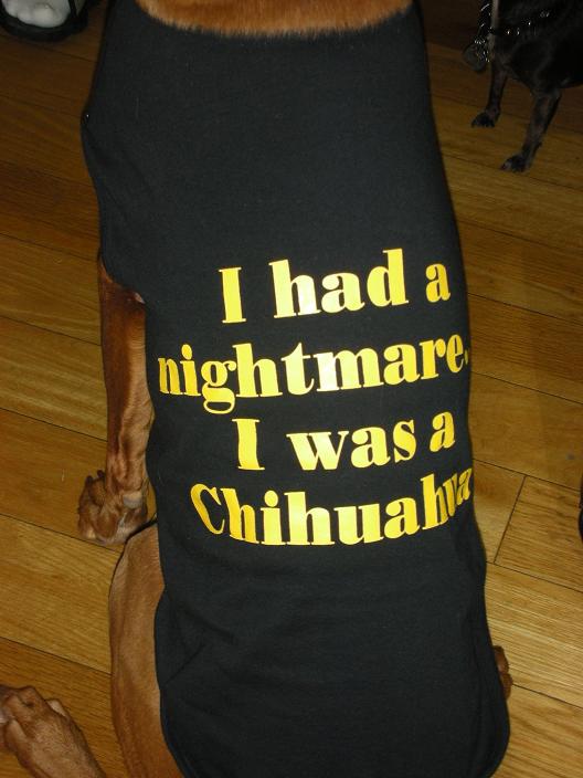 tshirtupclose