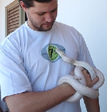 female blackratsnake