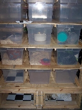 The Monster Rack Front