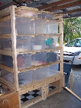 The Monster Rack