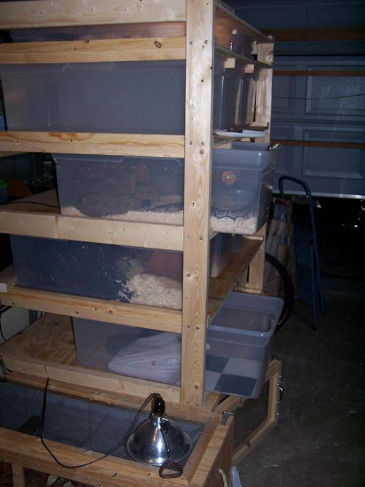 The Monster Rack Side