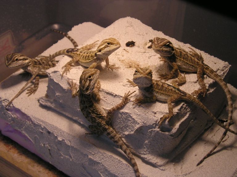More babies