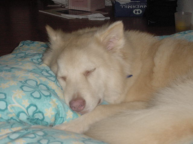 What a Hard Life