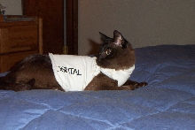 SkuShi