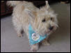 Nicky