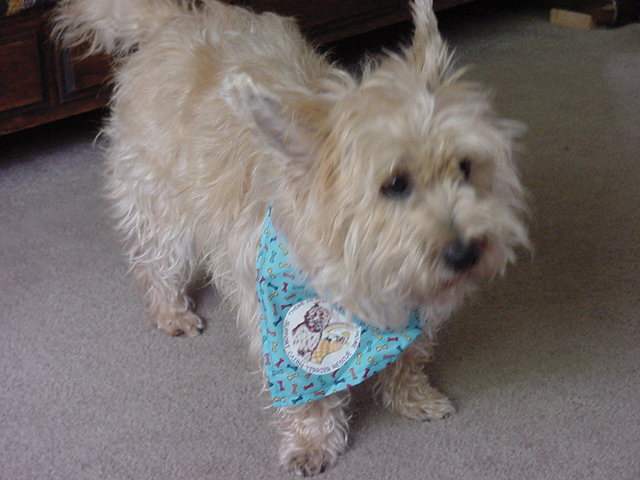 Nicky