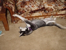 streching