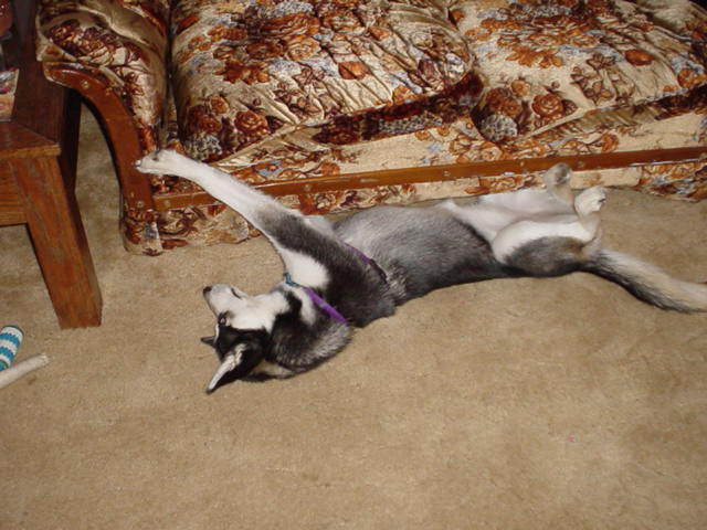 streching