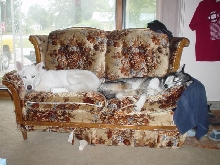 Girls on Couch