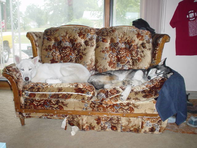 Girls on Couch