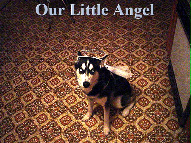 angel