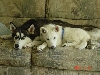 Together