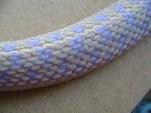 Ruffles the albino checkered garter snake