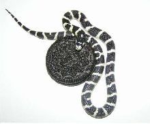 Oreo with an oreo
