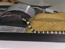 A cobra? no, it's Oreo