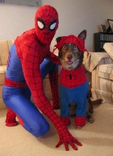 Spider-Dog