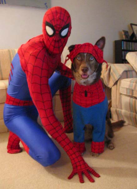 Spider-Dog