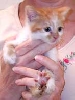 AnnieMae