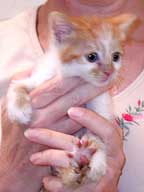 AnnieMae