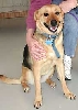 Lucy