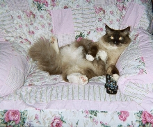 Lazing around