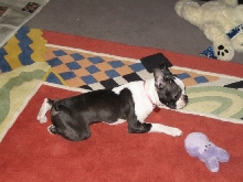 Stretching as always