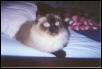 My B.K. aka Beeks
