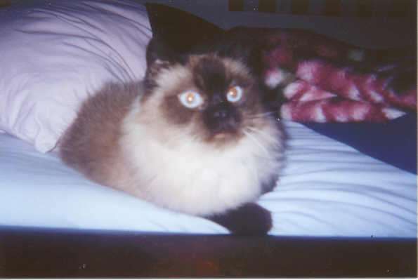 My B.K. aka Beeks
