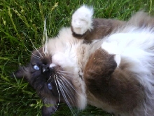 Just taking it easy